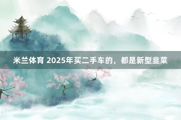 米兰体育 2025年买二手车的，都是新型韭菜