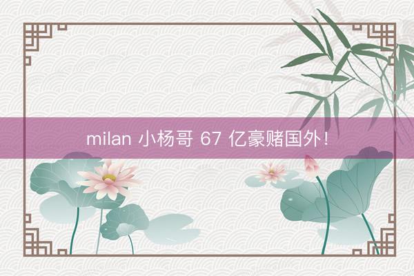 milan 小杨哥 67 亿豪赌国外！